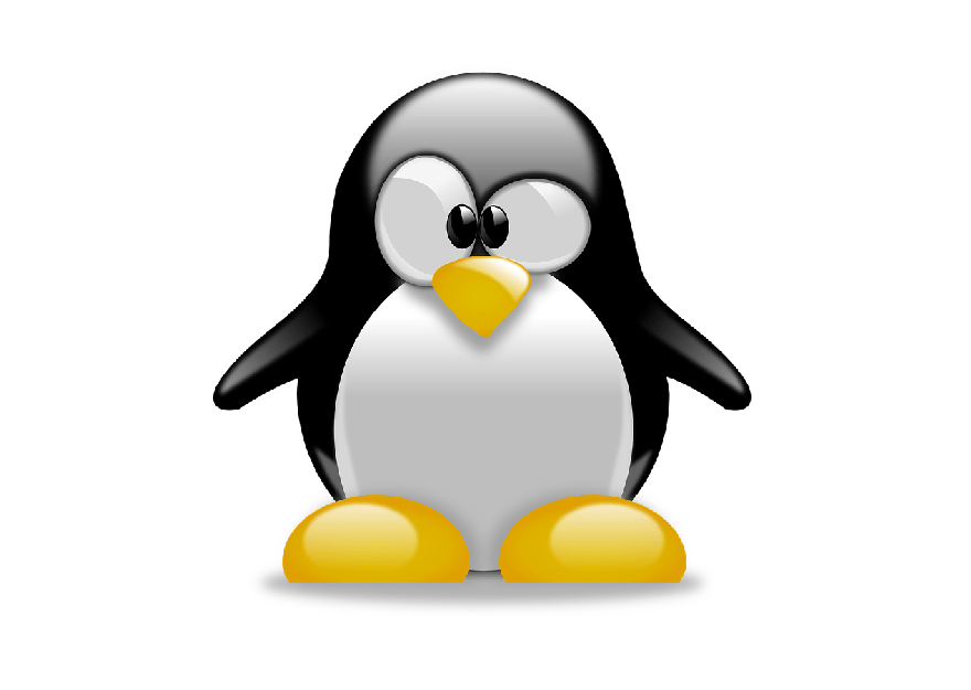 The Geeks managed cloud backup is compatible with Linux